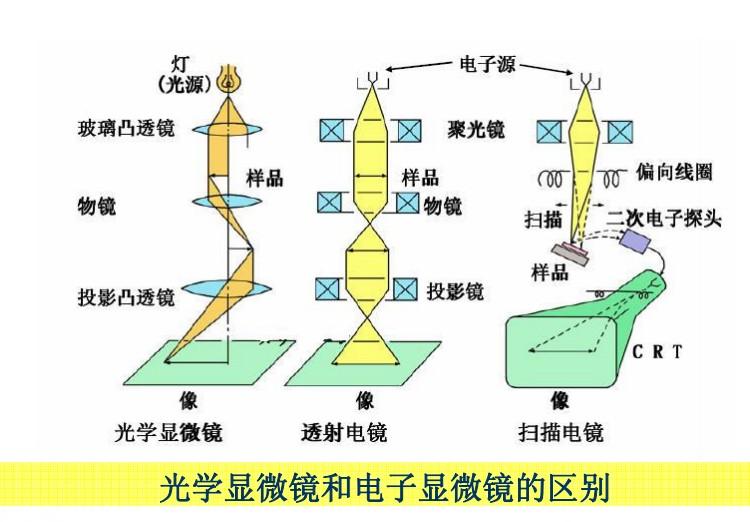 图为光学显微镜和电子显微镜工作原理的示意图