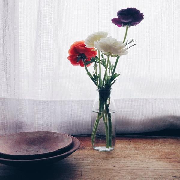 『020』我看过的最温暖的同妻故事 - 而我想…成为一个有趣的妞 - 知乎专栏