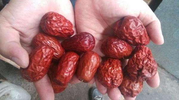 怎么选择优质大枣 074cf8828e844640366e953a89bf6f78_b.jpg