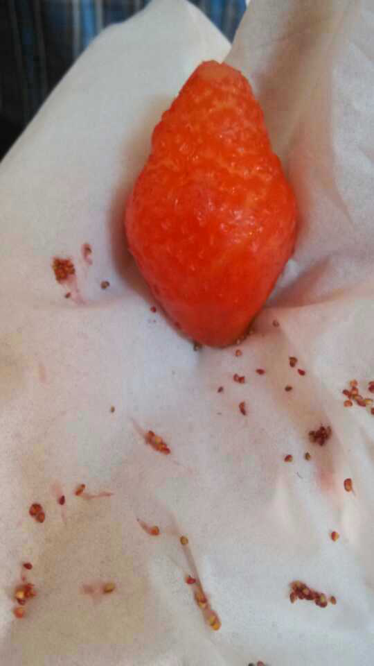 你做过最二的事是什么? - Chance Dancer 的回