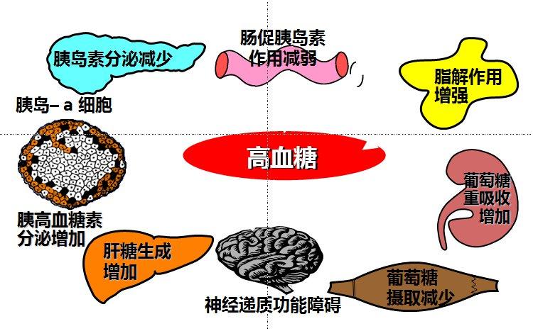 糖尿病是胰岛素多还是胰岛素少?