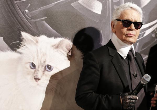 世界上有哪些喜欢猫的名人? - 赵瑞秋的回答