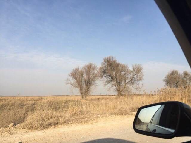 宁夏银川有什么好玩的地方? - 芒果的回答 - 知