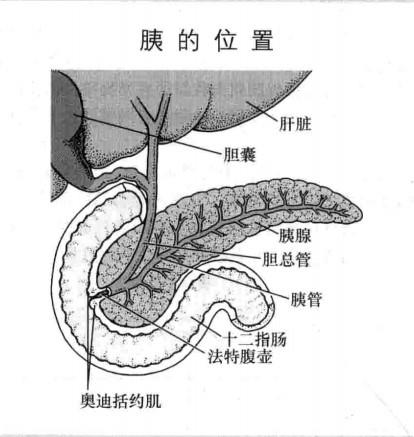 急性胰腺炎死亡率真的很高吗