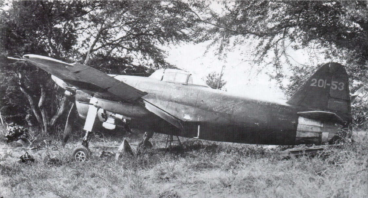 太平洋战争期间日本海军航空队局地战斗机的涂