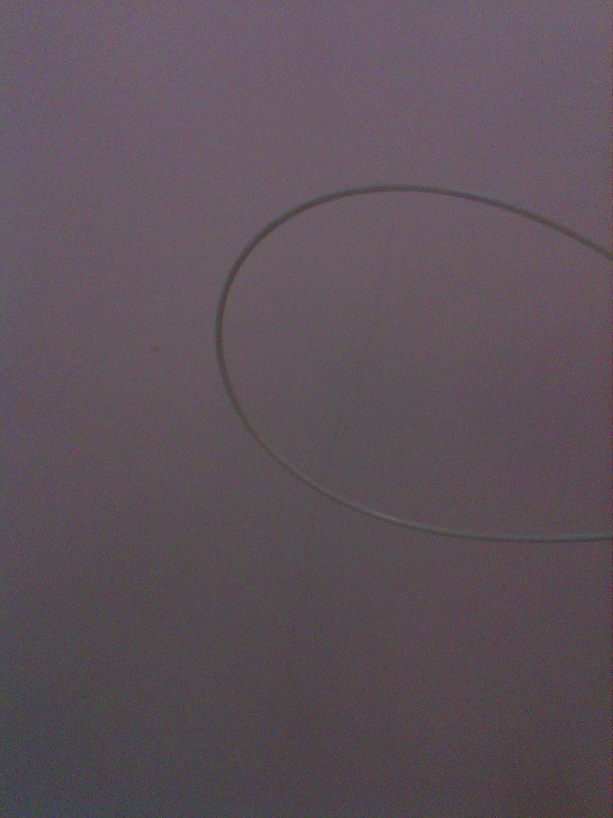 捡到一根韧性很强的细杆,请牛人认一下是什么