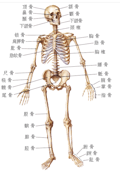 人坠楼到落地的一瞬间到底有哪些感觉呢? - 孙