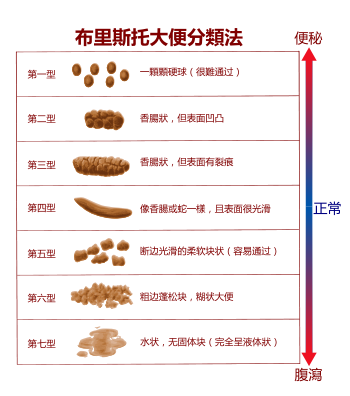 吃什么息息相关),含水量在25%-75%中间皆可,大便色一般为深黄色,褐色