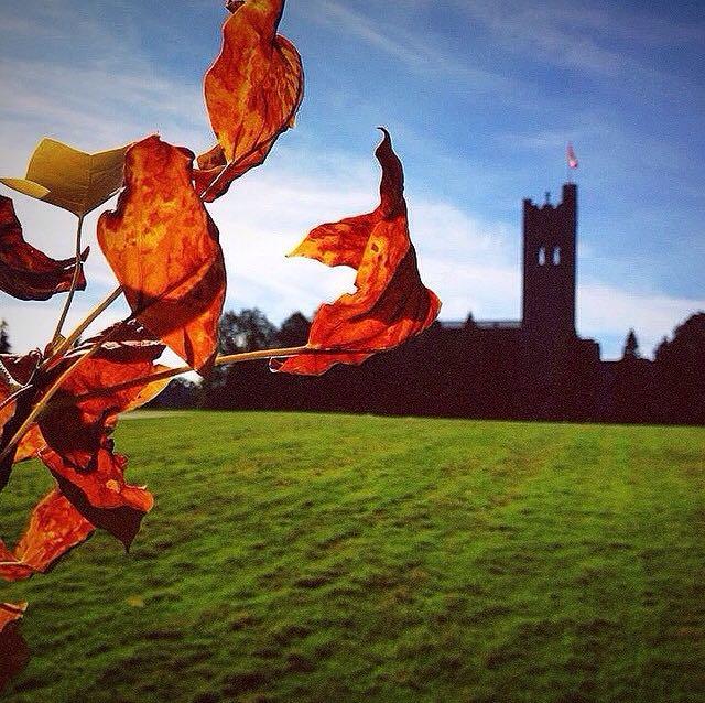 放眼全球,哪所学校最漂亮?为什么? - 岳珍妮的