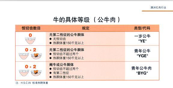牛肉的级别指的是什么?
