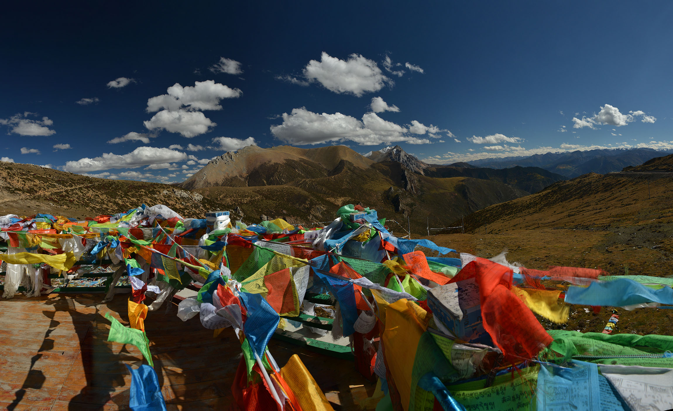 怎么大风越狠,我的心越荡? - 安久的回答