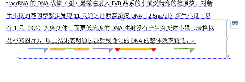 Word里新插入的图片一部分衬入文字下面是怎