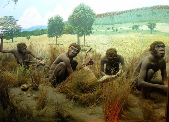 产品经理们都是怎样成为产品经理的?