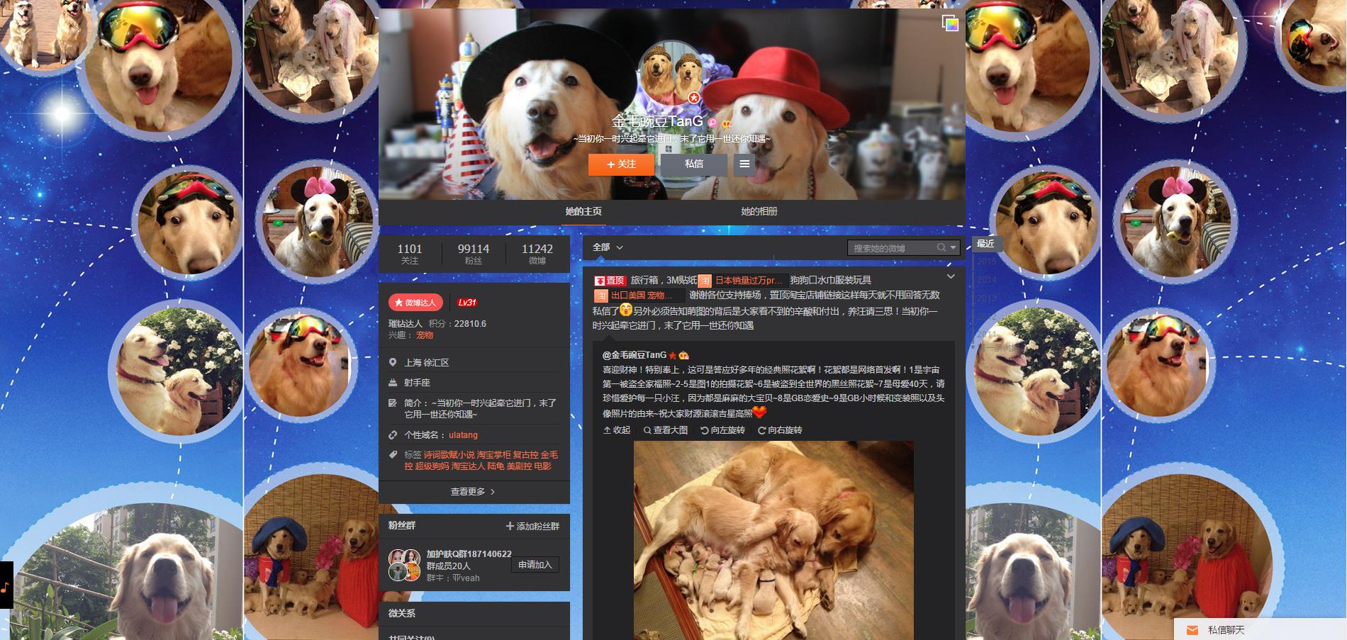 <em>回忆</em>专用小<em>马甲</em>是如何<em>火</em>起来的?是偶然还是精