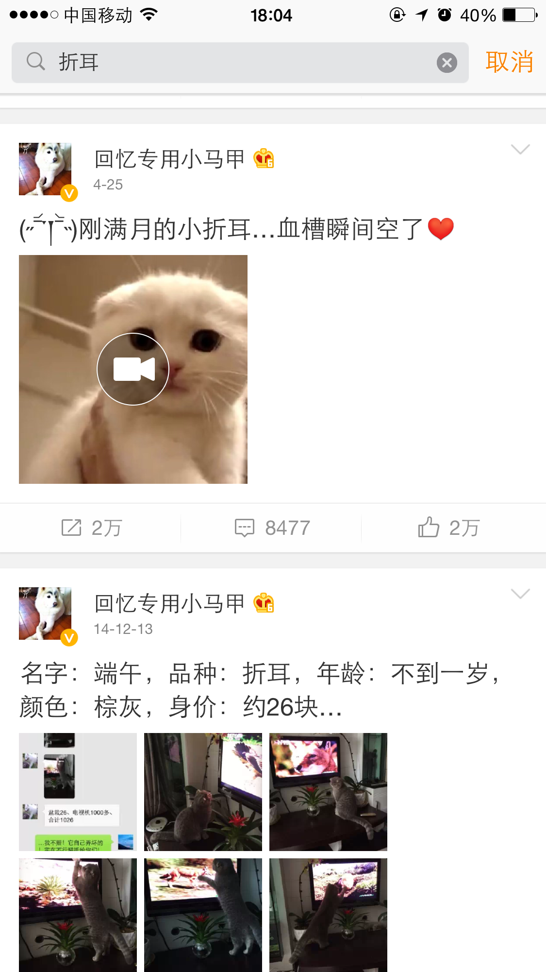 怎么看待网友们喷回忆专用小<em>马甲</em>的折耳猫<em>端午</em>