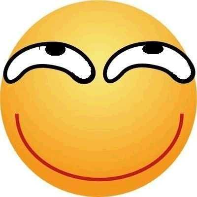 0.eif,请自行搜索. 斜眼表情是如何被显卡吧玩坏的?