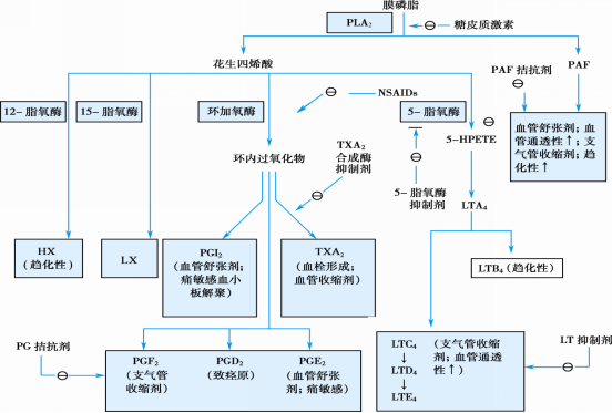 抗菌药,激素,疫苗的区别以及他们的药理作用机制?