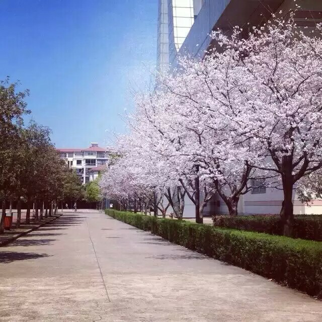 在浙江省嵊州中学读书是一种什么体验?