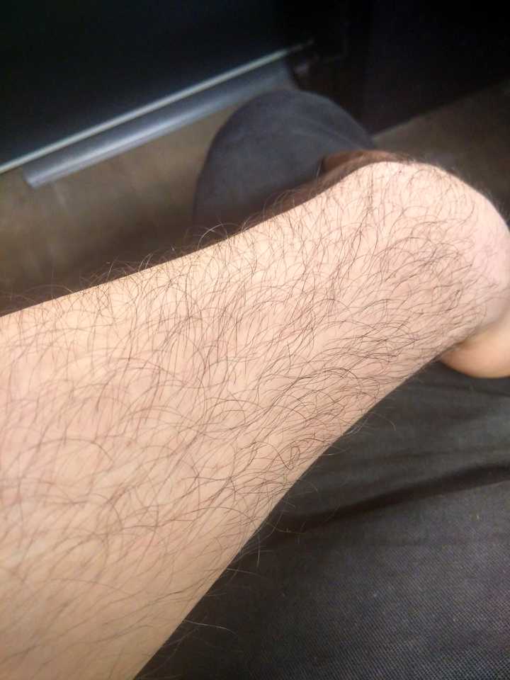 歪个楼,这是我的手毛.是的,脚毛更长.你们能想到的地方我都有毛毛
