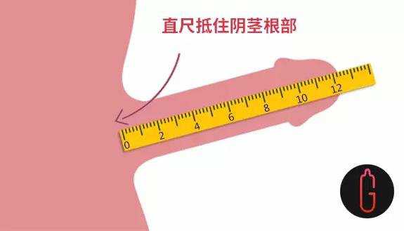 如何正确的测量丁丁长度?