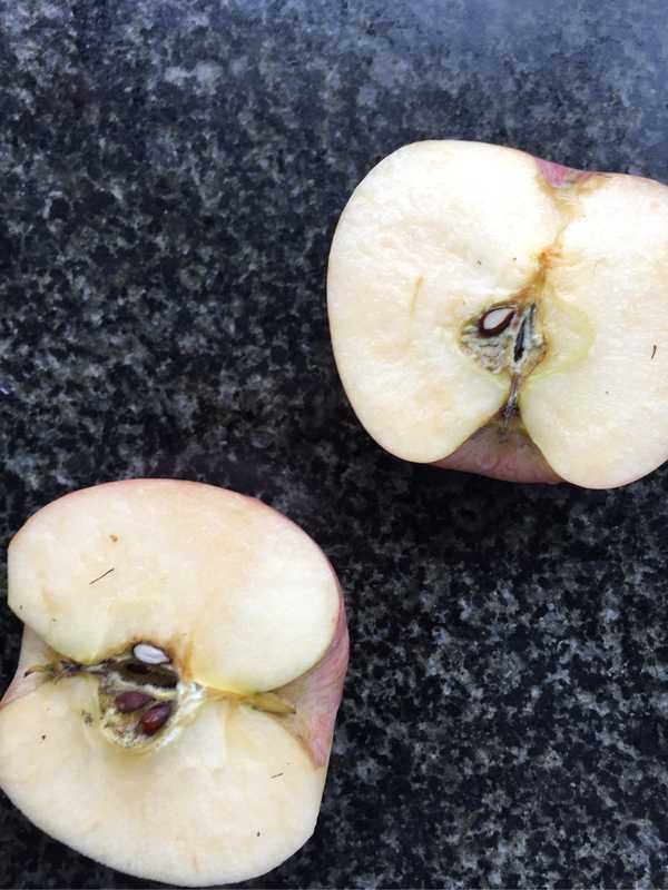 苹果核内有白色绒毛,还能吃吗?