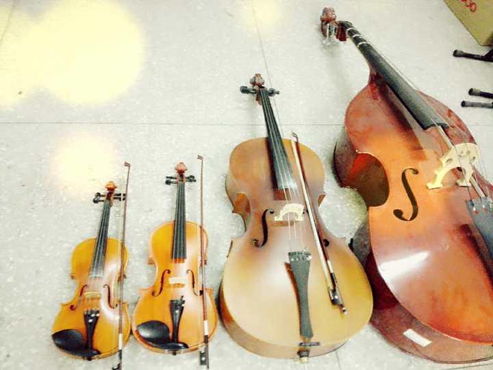 如何分辨小提琴,中提琴,大提琴和低音提琴?
