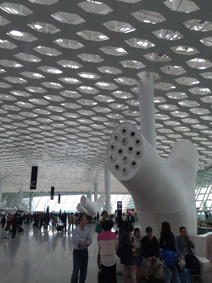 如何评价深圳机场新航站楼的设计?