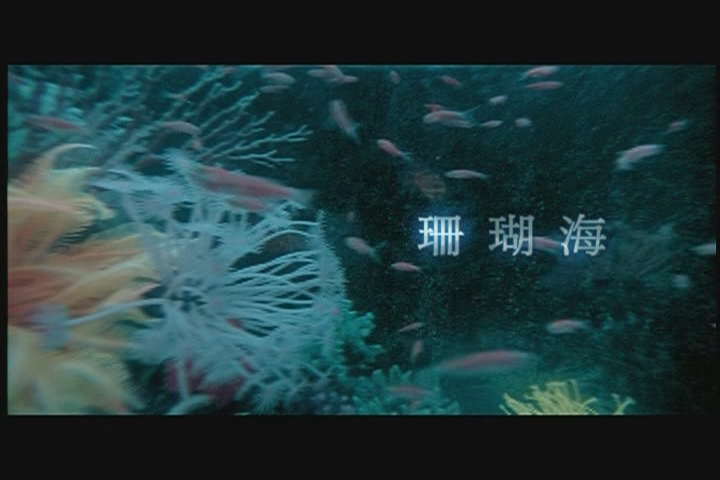 珊瑚海