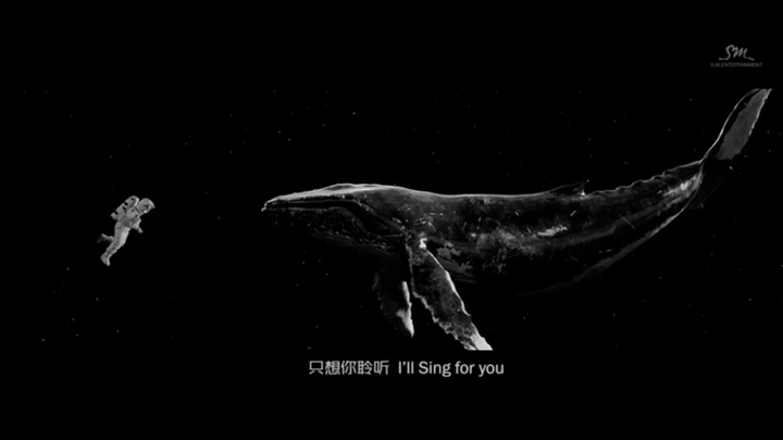 如何评价exo这次的冬日新专辑sing for you?