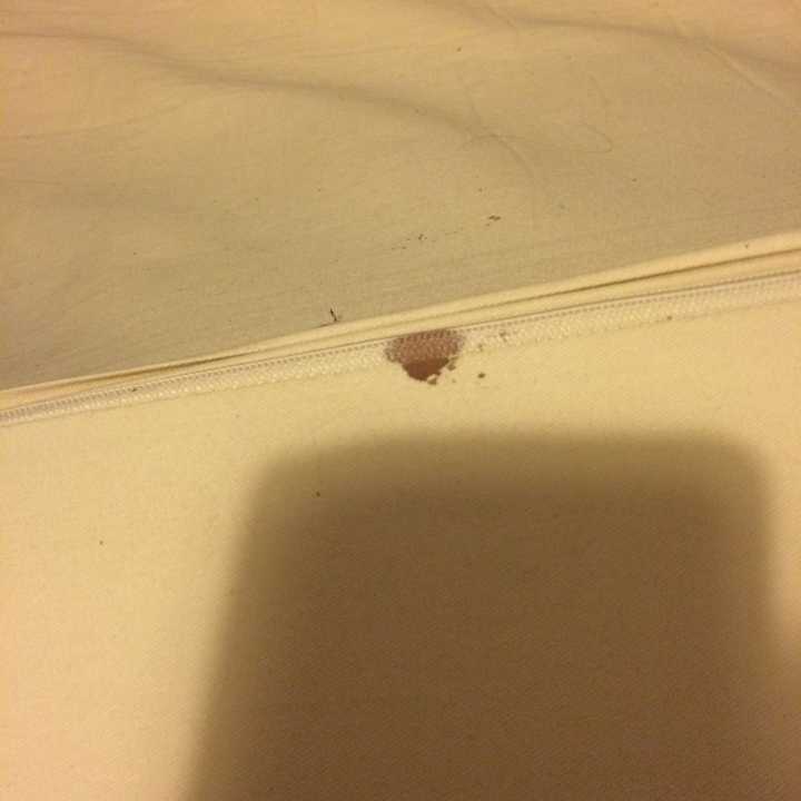 如何洗掉床单上的血迹?