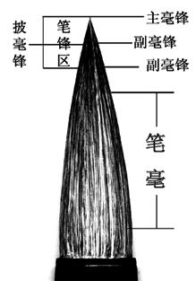 水彩笔和毛笔一样吗?