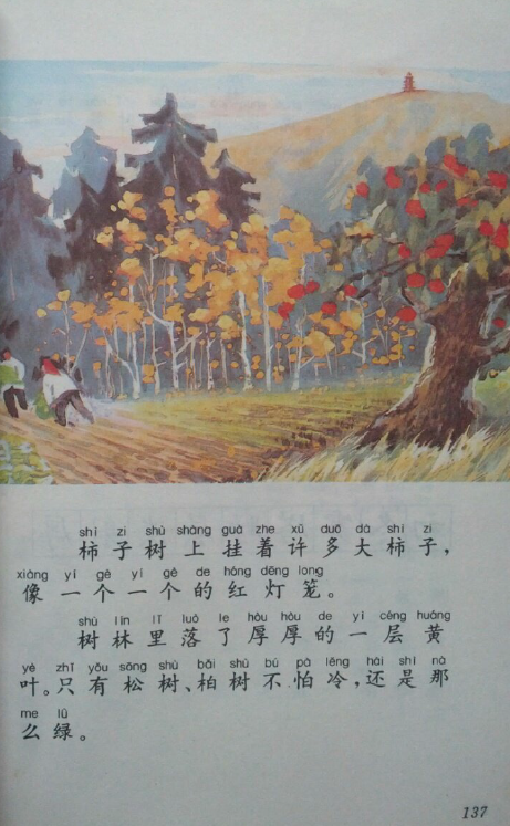 90年代的小学语文课本是一种怎样的存在?