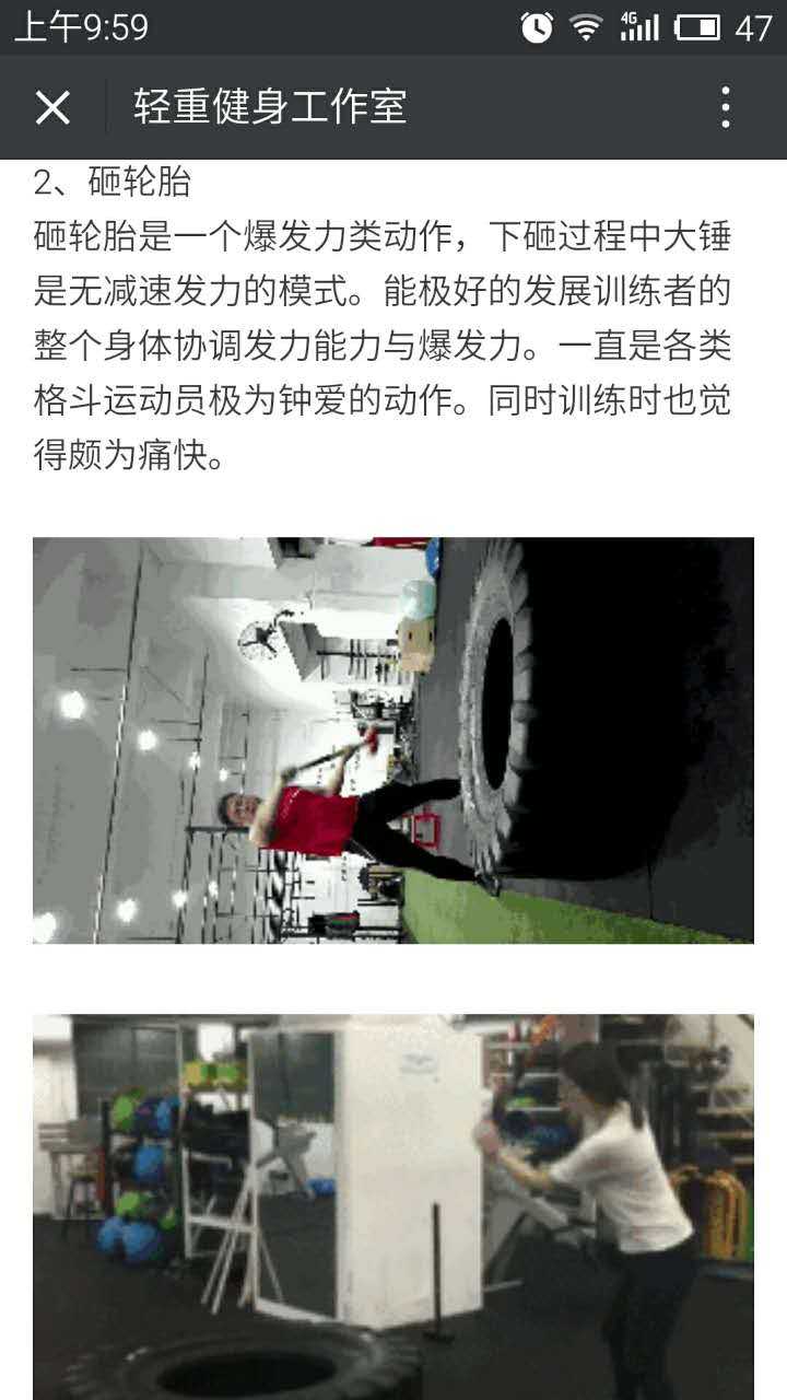 让我想到了终极斗士3里斯科特·阿特金斯饰演的博伊卡.