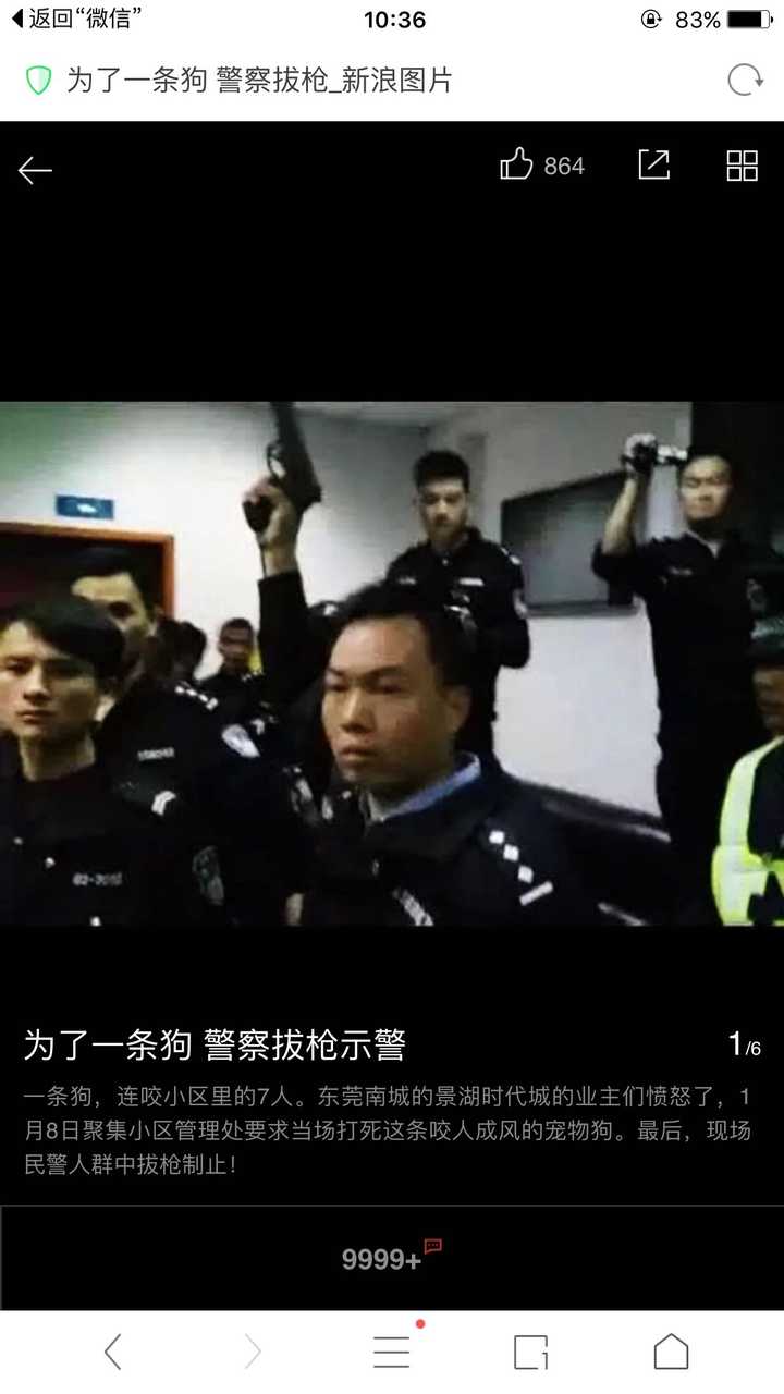 为了一条狗警察拔枪