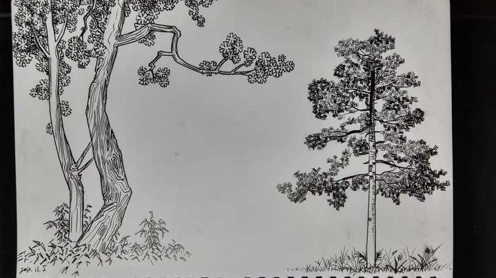 什么书比较适合初学者进行建筑钢笔画,手绘线稿的临摹