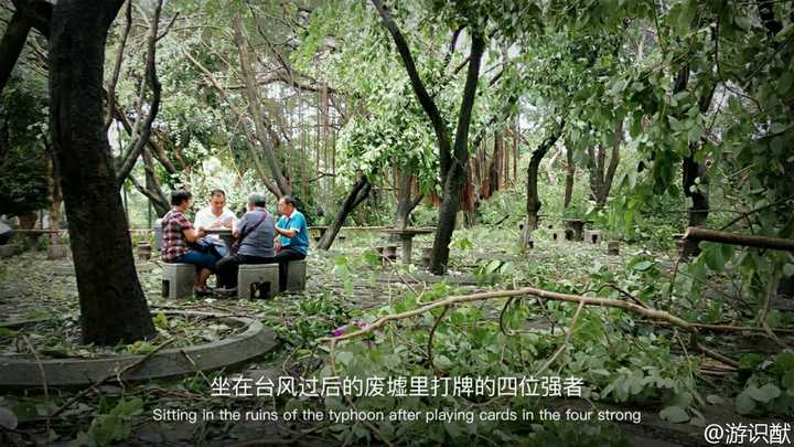 最后附上一张微博上看到的 经历过大风大浪的大爷大妈(图源水印)