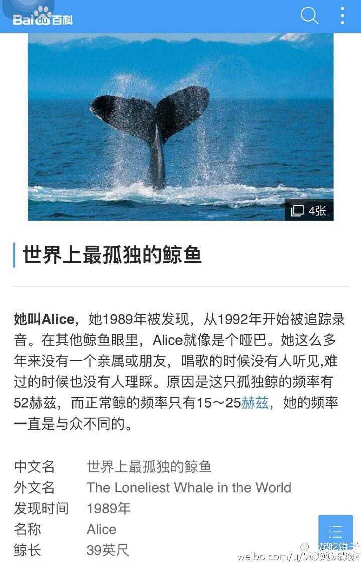 大胆猜想 鲸鱼=alice=爱丽s=exo-l 然后一直孤独漫游的世勋在宇宙中也