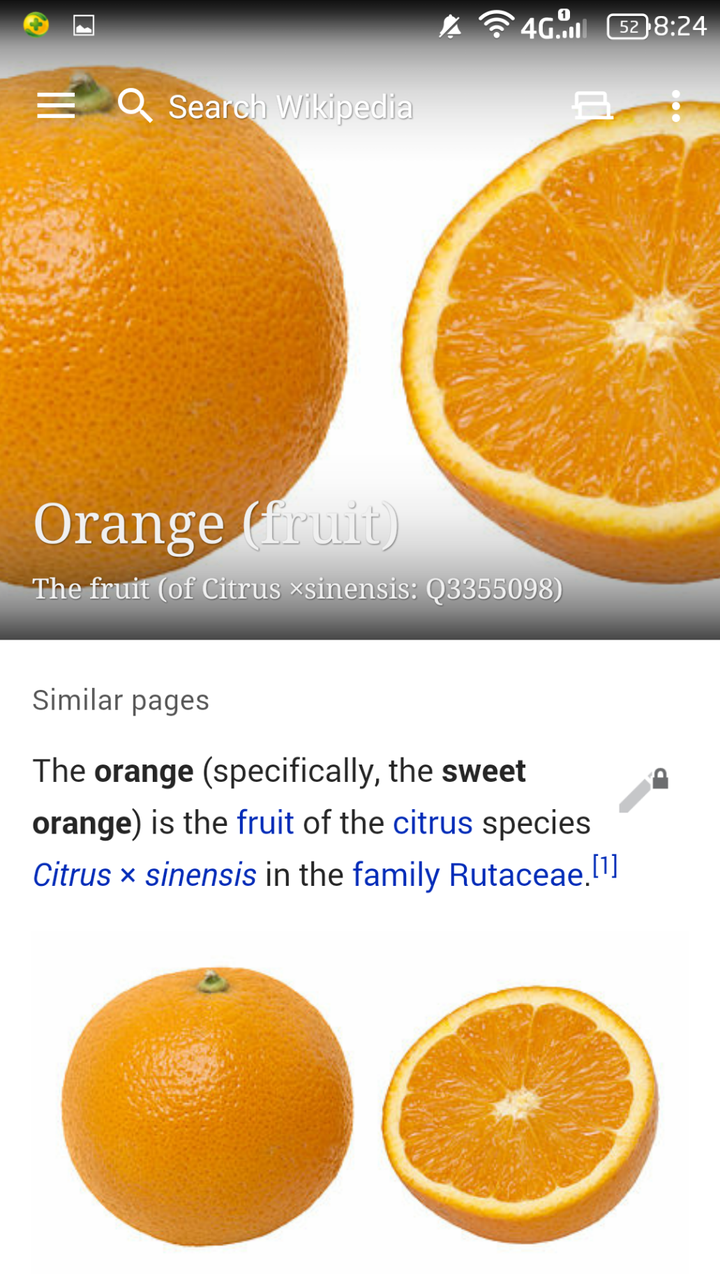 英语里 一个多义单词orange使用翻译问题?