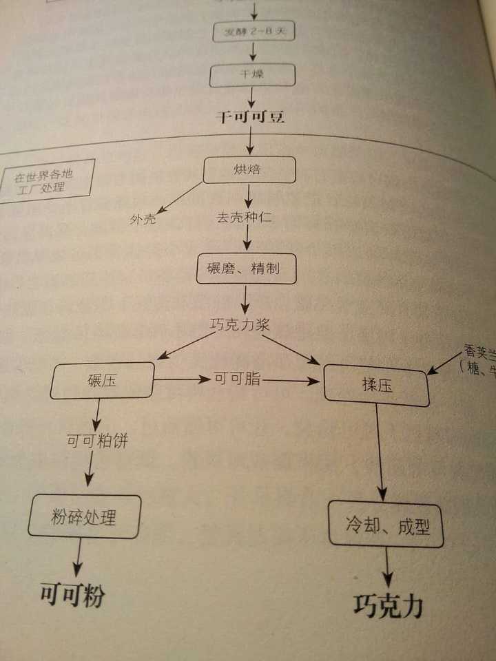 干燥的可可豆经过烘焙,研磨和精致得到巧克力浆.