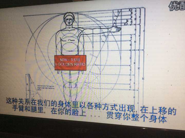 达芬奇的研究,维特鲁威人,他心中完美的八头身.