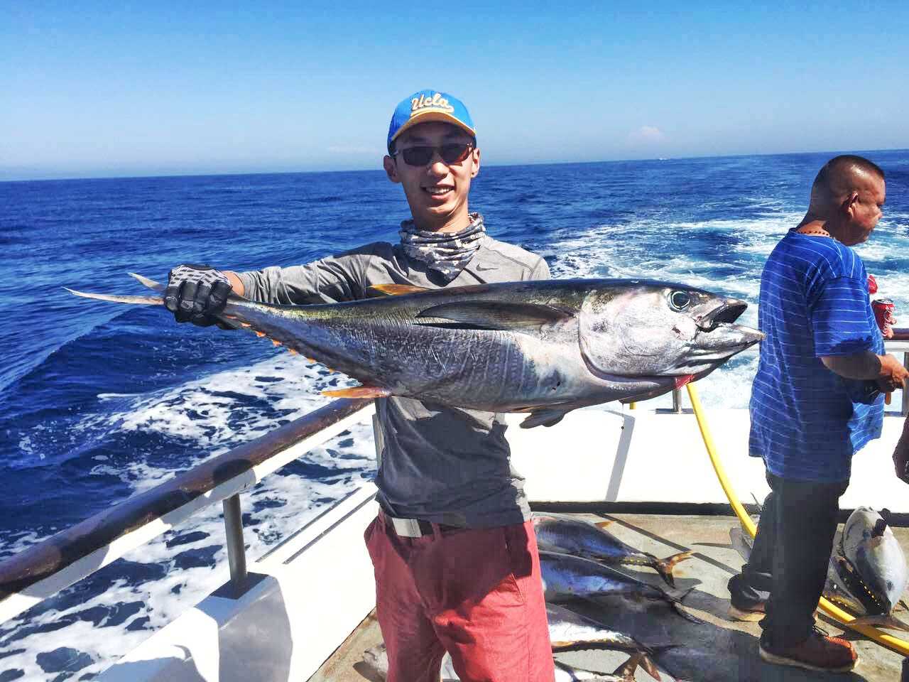 黄鳍金枪 海狼 鬼头刀 黄尾鱼hamachi