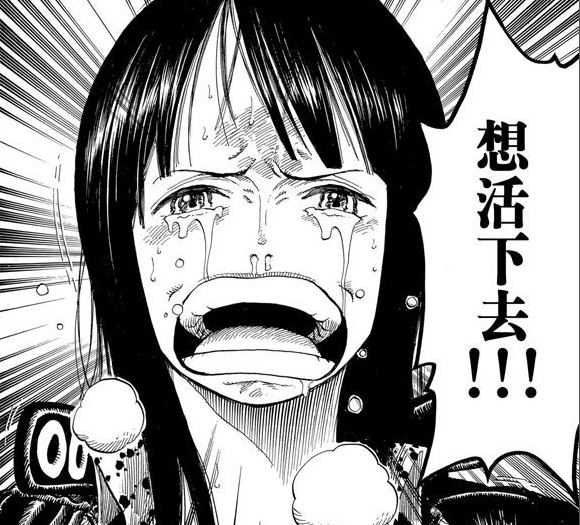 为了自己的伙伴向整个世界宣战的决心,在看到罗宾哭着喊出