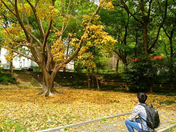 大学用的手机丢了,终于在空间里找了几张照片,好怀念 西南大学,竹园
