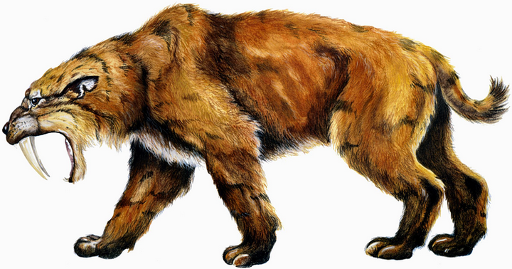 因为体型庞大,巨鬣齿兽在新生代的食肉兽中,属于顶尖的掠食者,能和它