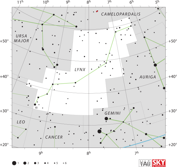 天猫座(lynx):在大熊座和双子座之间的小星座