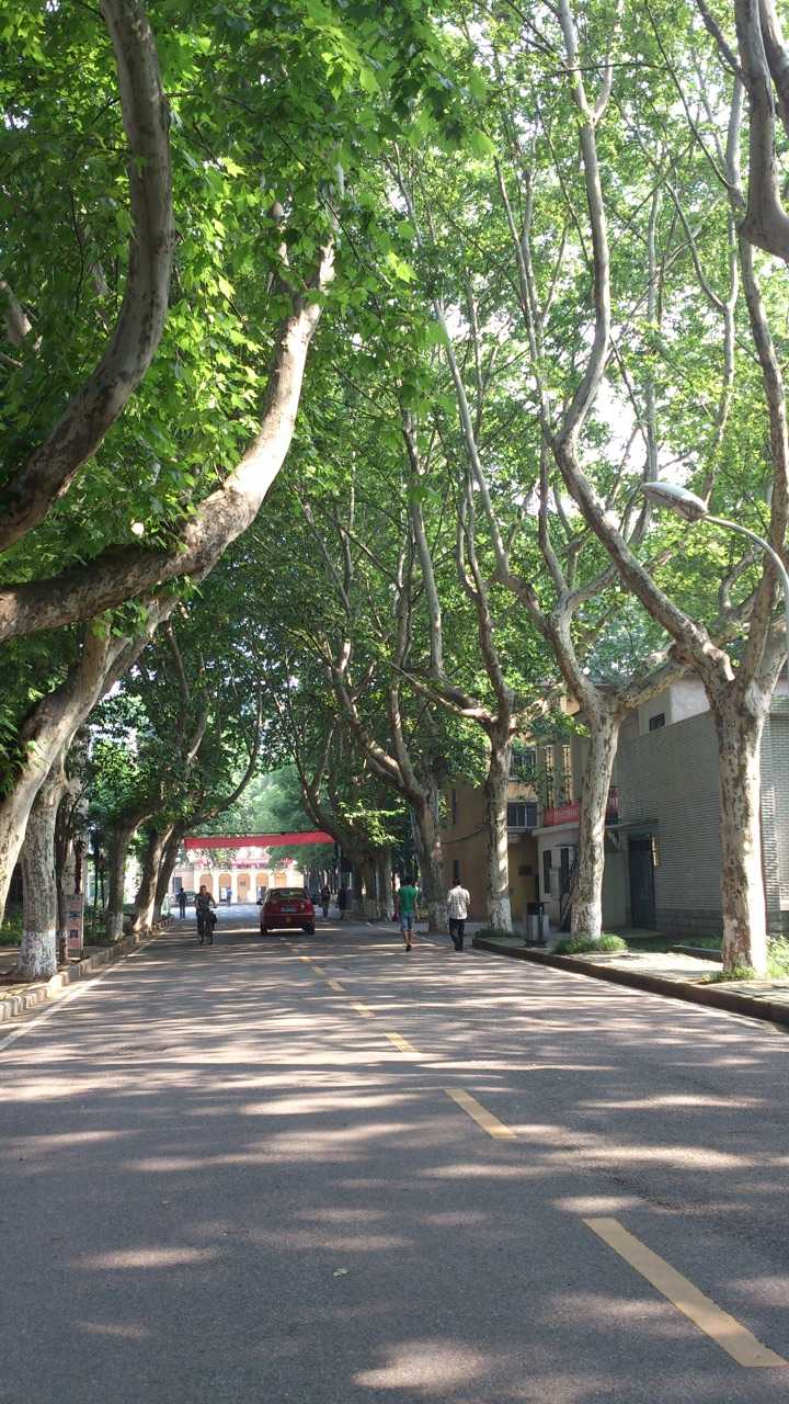 在武汉理工大学余家头校区读书是种什么样的体验?