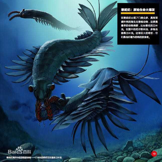 寒武纪时期的生物「奇虾」好吃么,如果好吃的话怎么料理会比较好?