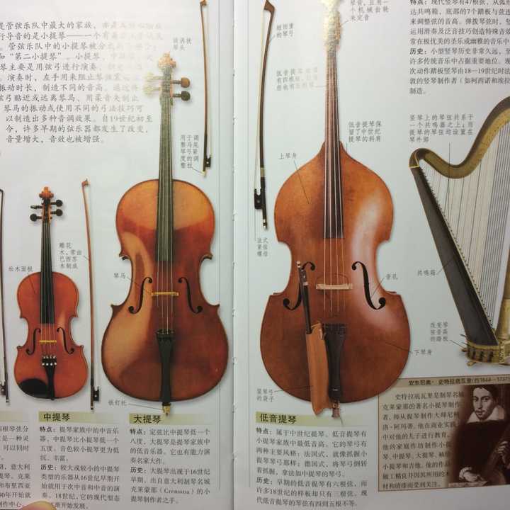怎么区分大提琴和低音提琴?