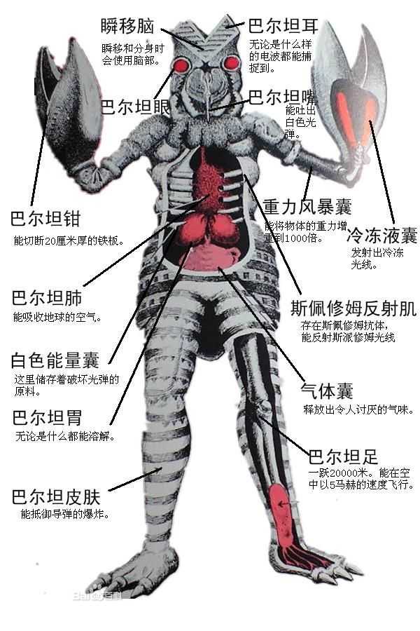 奥特曼中出现过哪些外形有创意的怪兽?