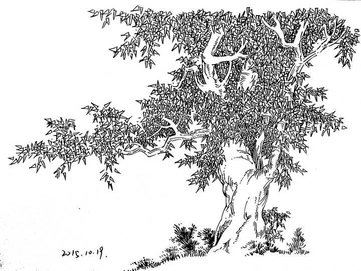 先是临摹.